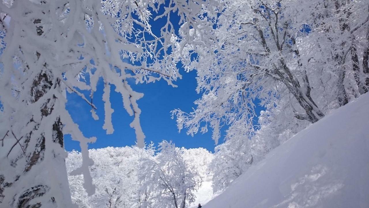 Nozawa Dream Central Exteriér fotografie