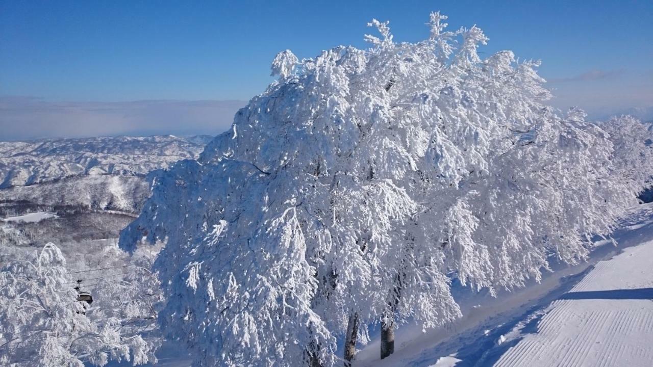 Nozawa Dream Central Exteriér fotografie