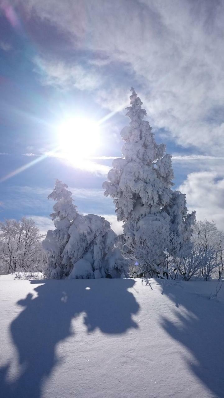 Nozawa Dream Central Exteriér fotografie